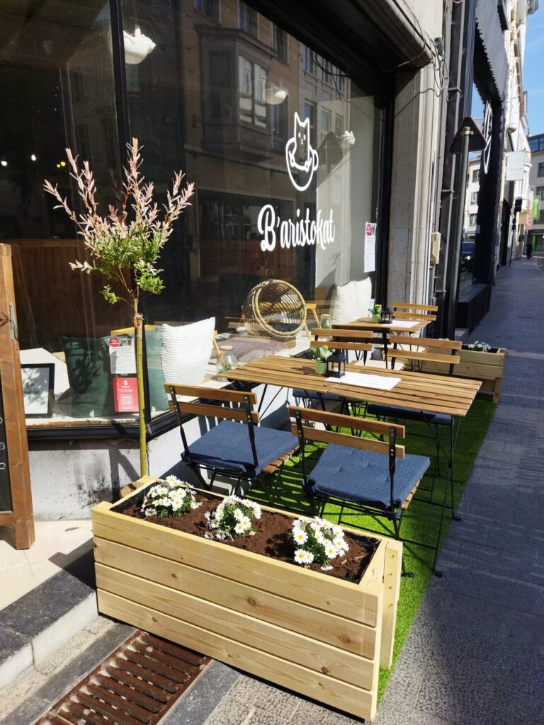 kattencafe Kortrijk