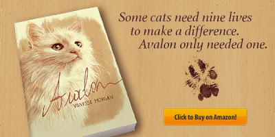kindle countdown deal