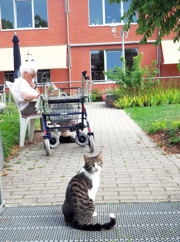 residential care centre belgium