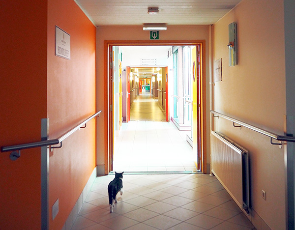 sint-amandsberg gent woonzorgcentrum