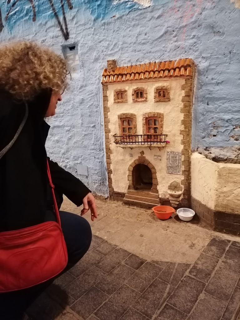 Valencia's House of Cats