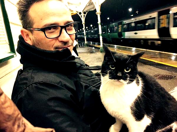 gipsy hill cat