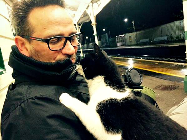 gipsy hill station cat