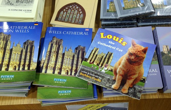 book louis the cathedral cat