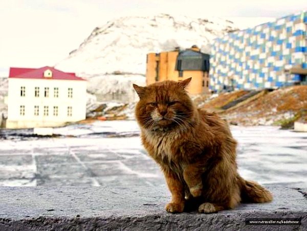barentsburg svalbard