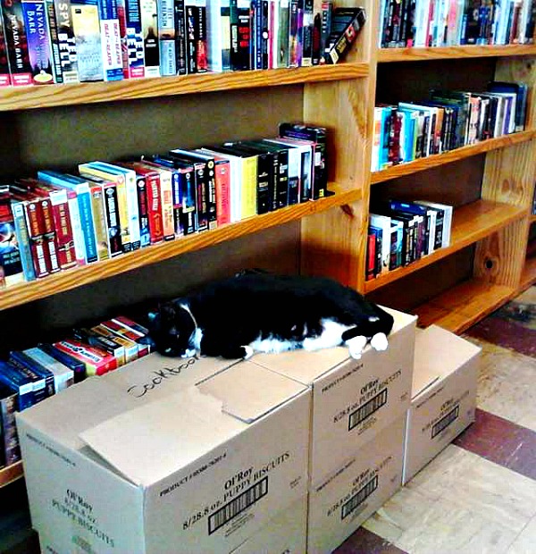 book buyers library charlotte