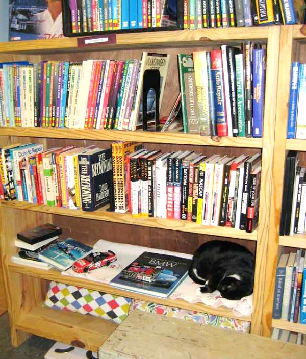 charlotte book buyers library cat