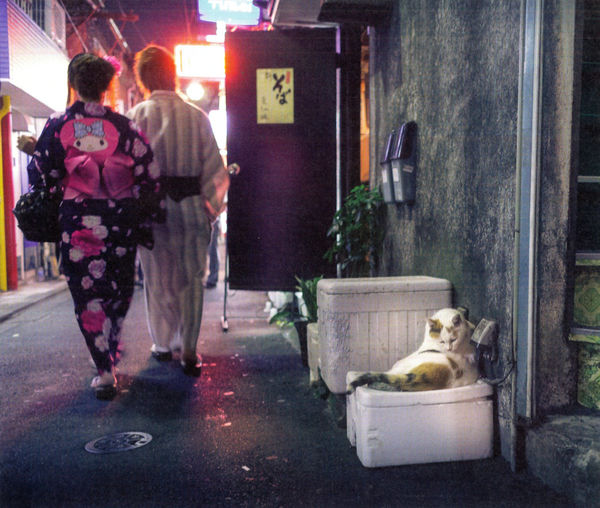 japanese cat book