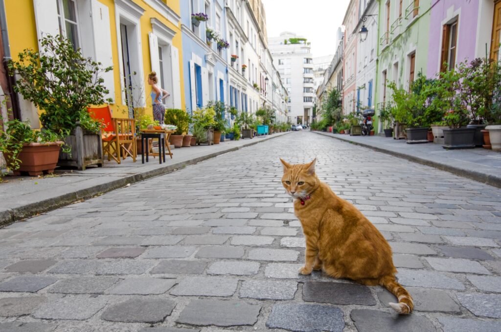 Rue Crémieux
