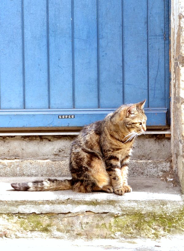 Rue Crémieux Paris