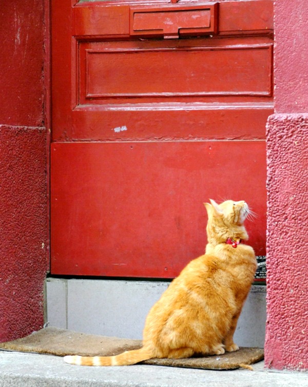 rue cremieux paris
