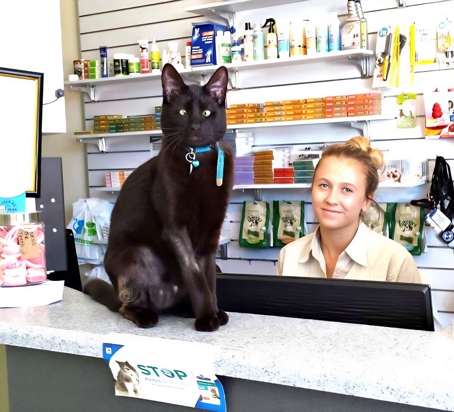 Ryde Veterinary Clinic