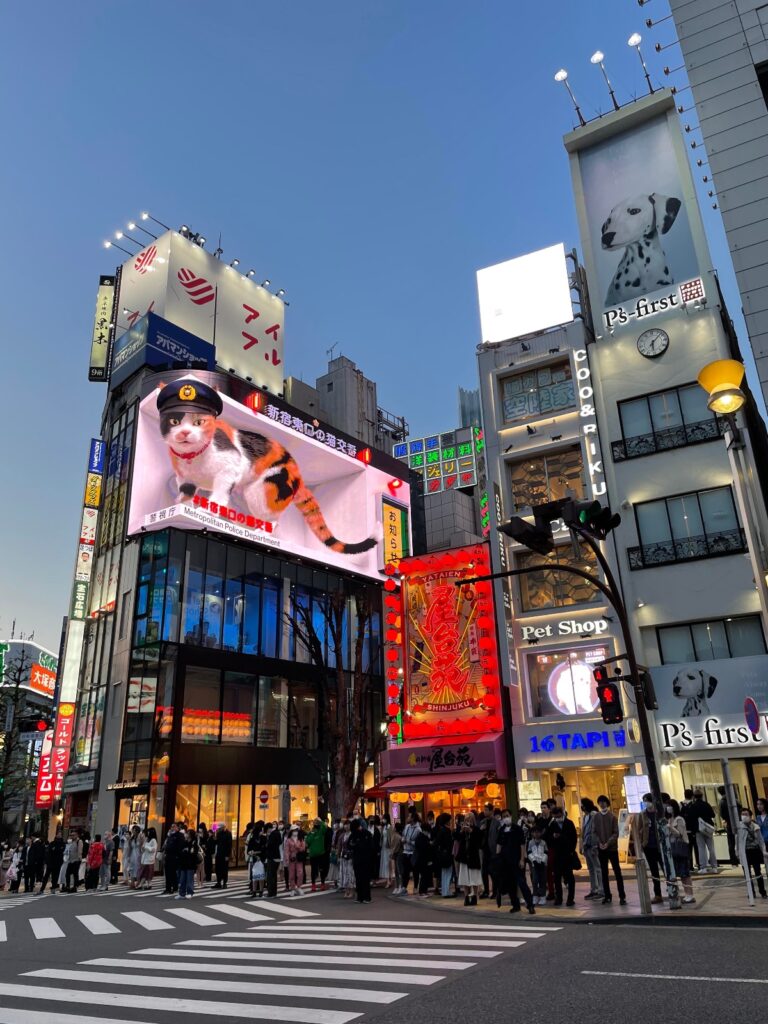 3D cat billboard in Shinjuku City, Tokyo