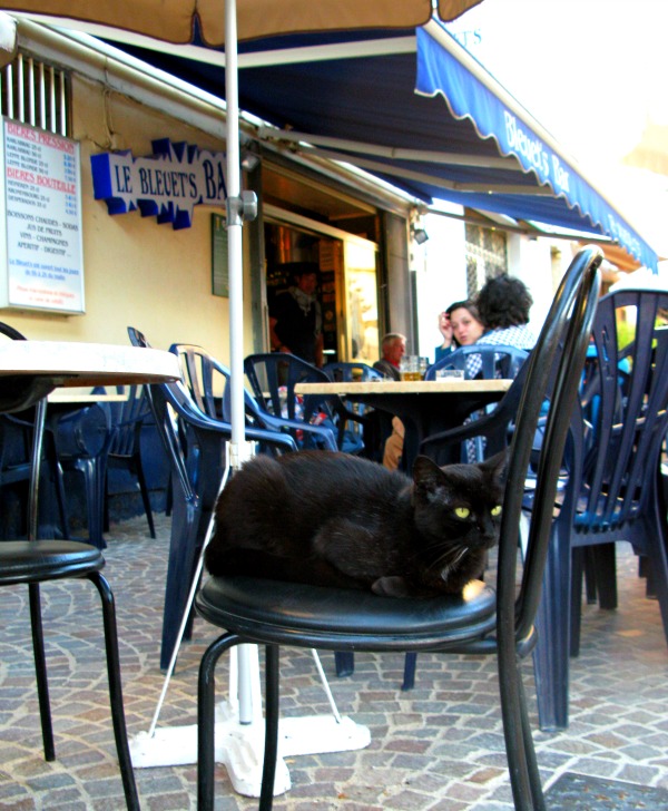 black cat on chair
