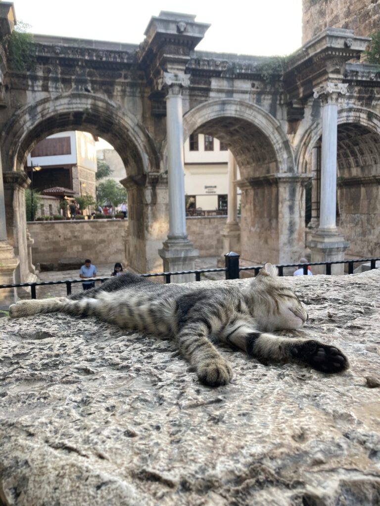 sleeping cat near Hadrian's Gate in Antalya's Old Town in Turkey