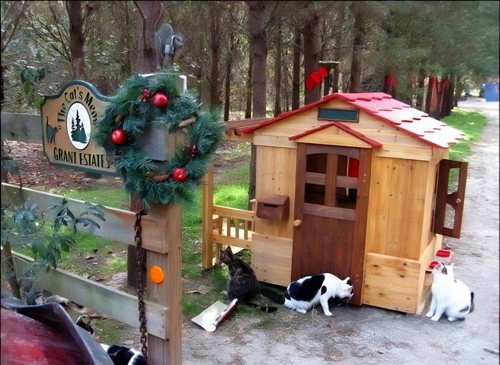 Ponte Vedra cat sanctuary