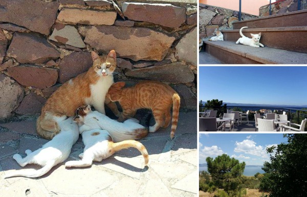 eftalou lesbos