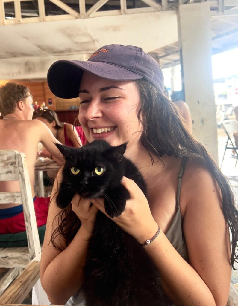 Gili Trawangan cat