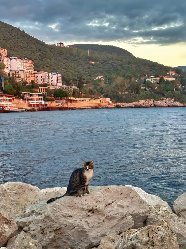 Kas Turkey