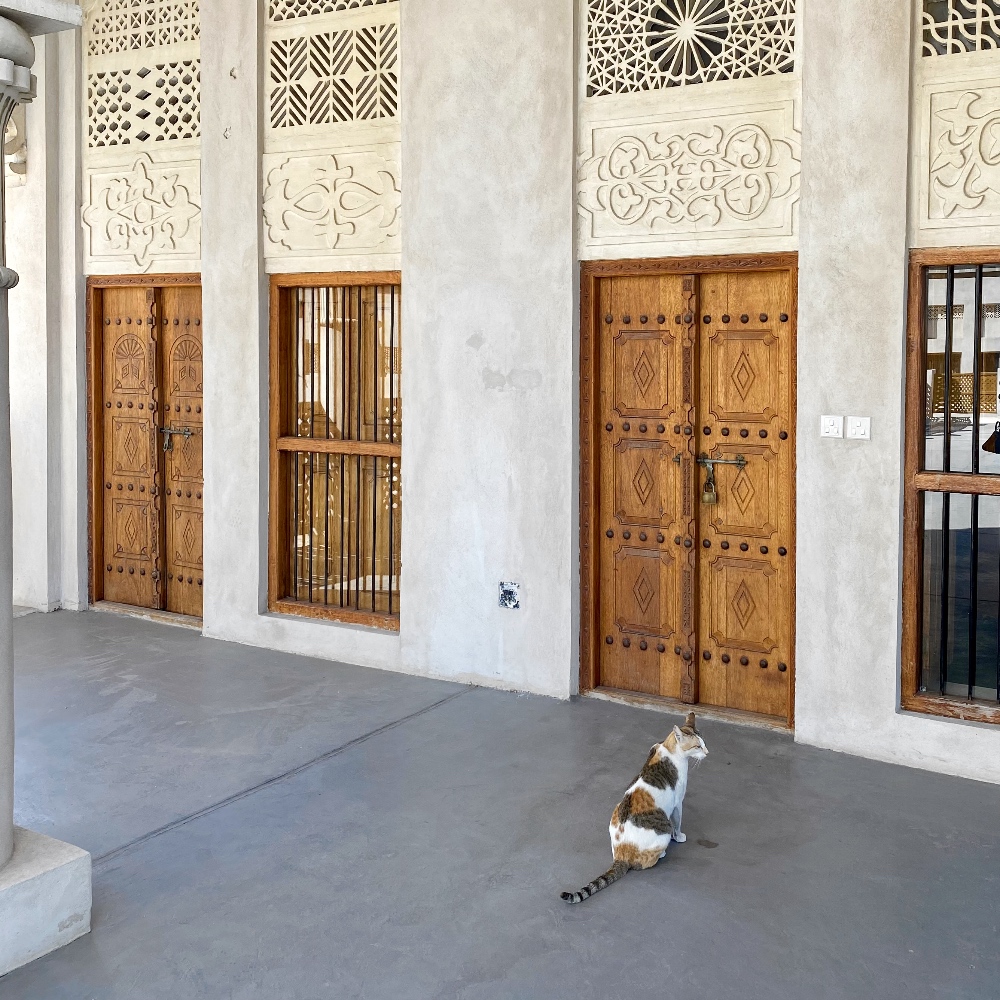 Sharjah Art Gallery
