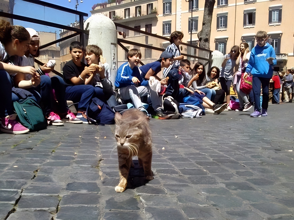 Torre Argentina in Rome