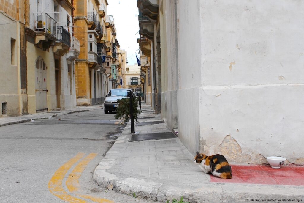 Floriana Malta