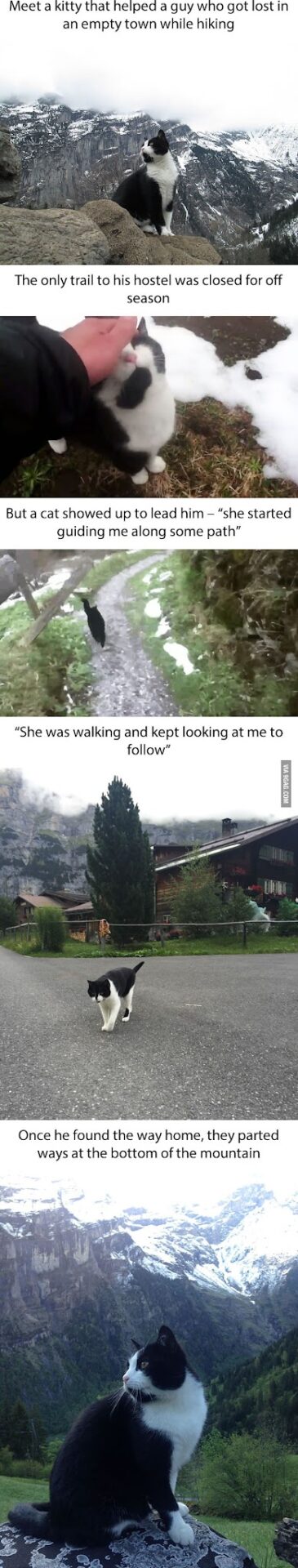 alps switzerland travel
