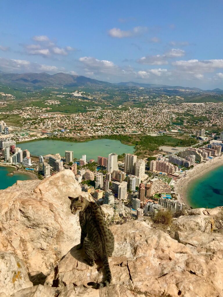 Calpe