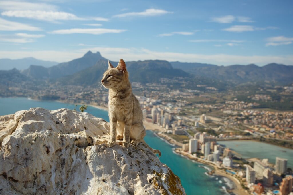 Calpe Rock