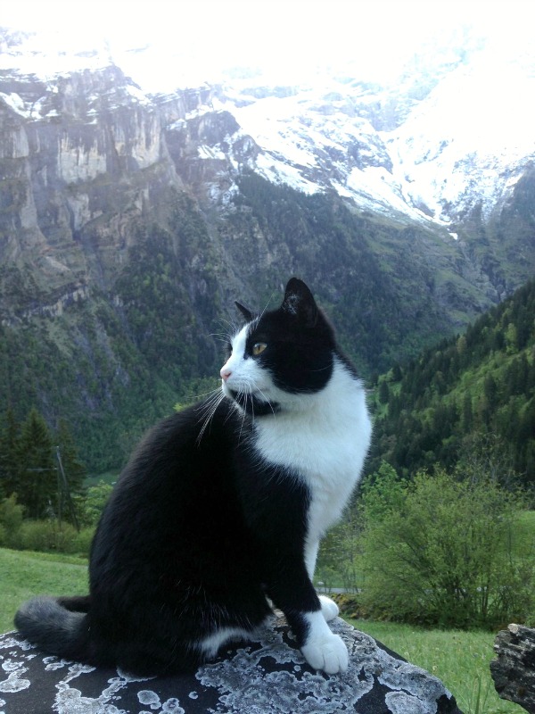 gimmelwald switzerland mountains