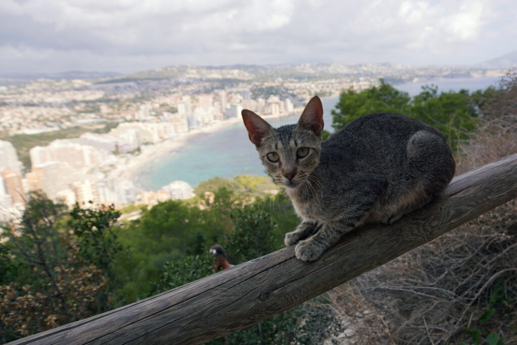 Ifach mountain