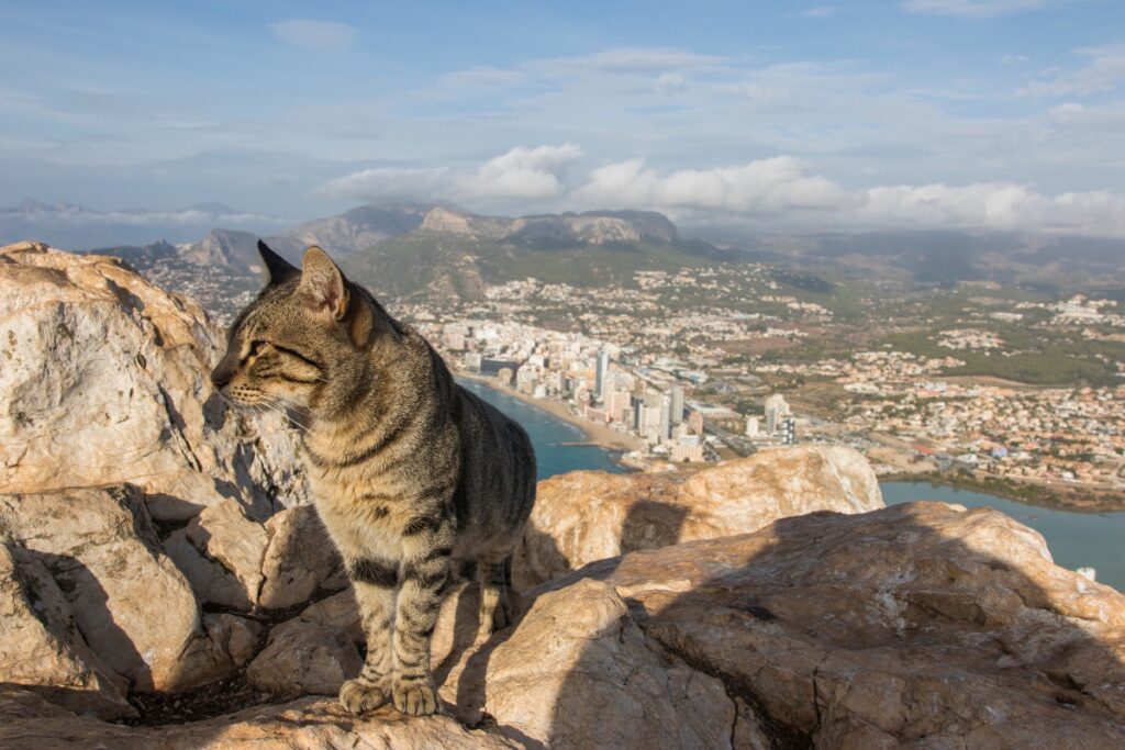 Rock of Calpe
