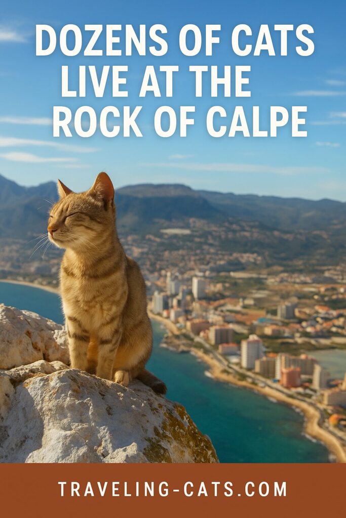 unusual things to do in Calpe