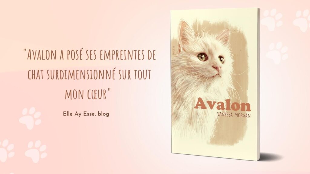 France travel book