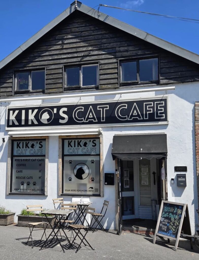 Kiko's Cat Cafe