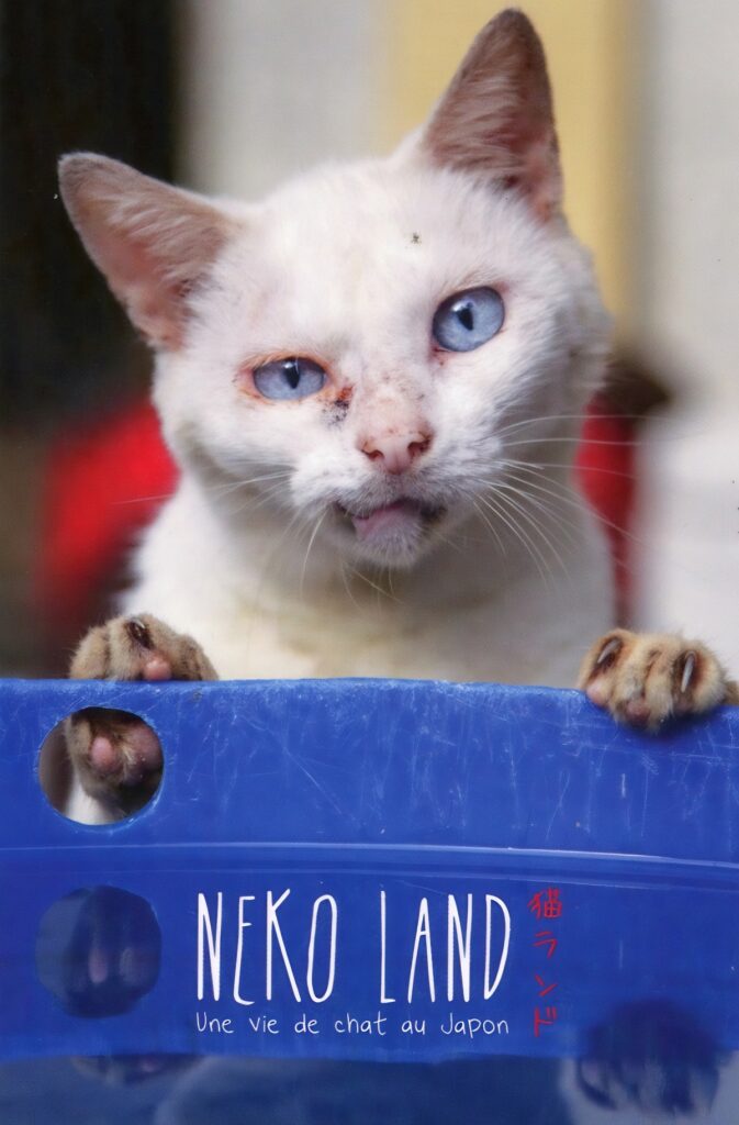 Livre avec des photos de chats