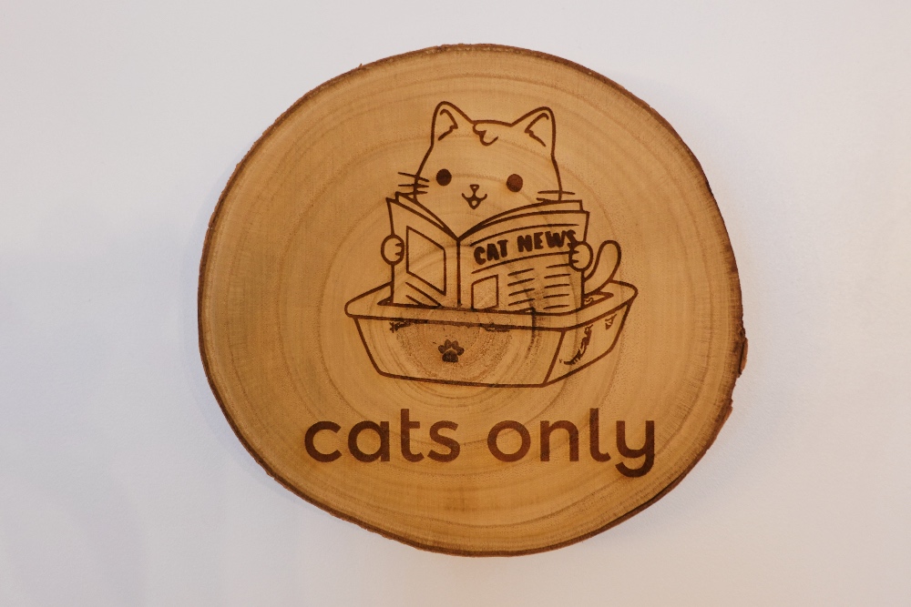 cats only