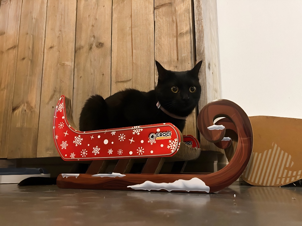 Croci griffoir pour chats