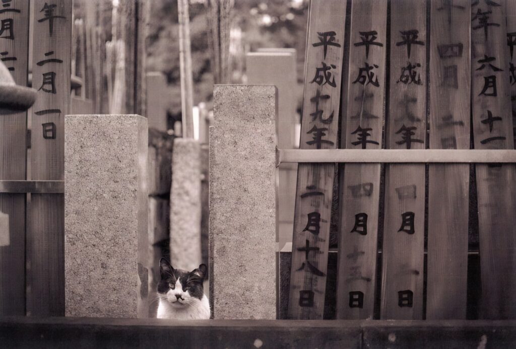 Yanaka Cemetery