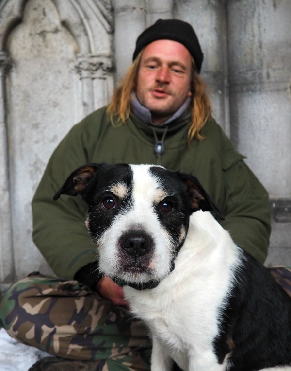 dog beggar