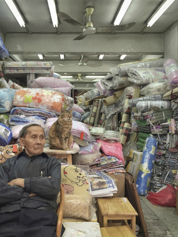 cat and human
