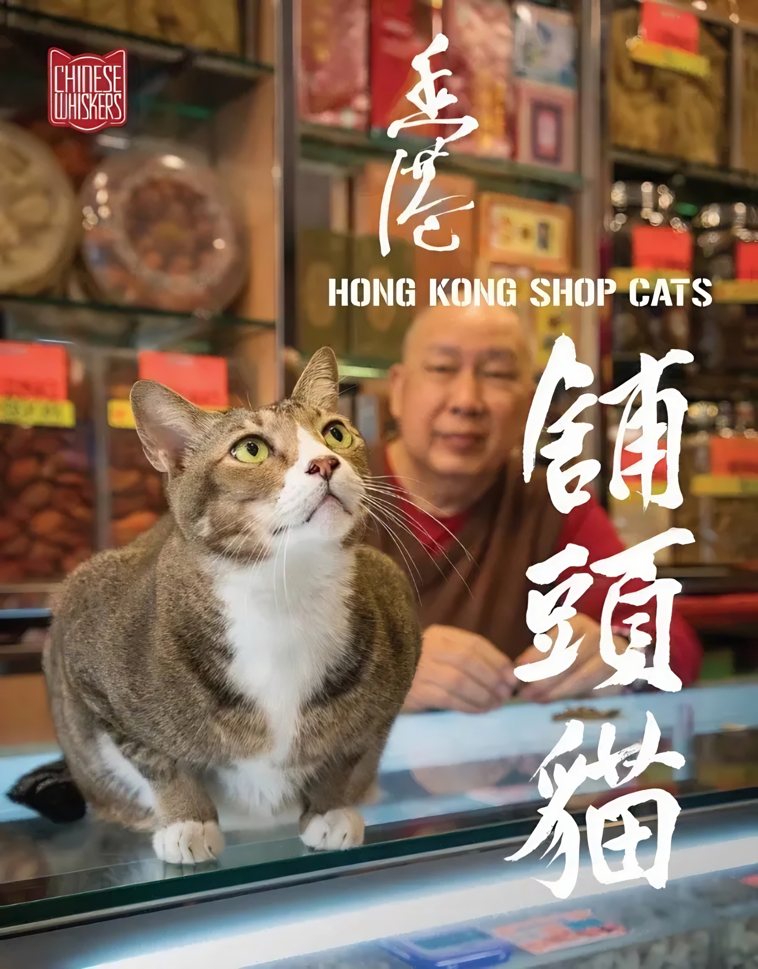 Hong Kong Shop Cats book