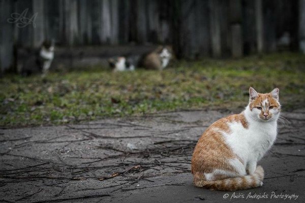 photographer riga