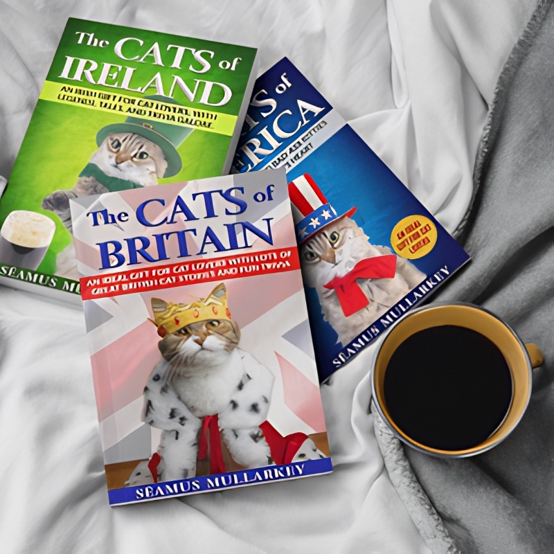 Seamus Mullarkey books