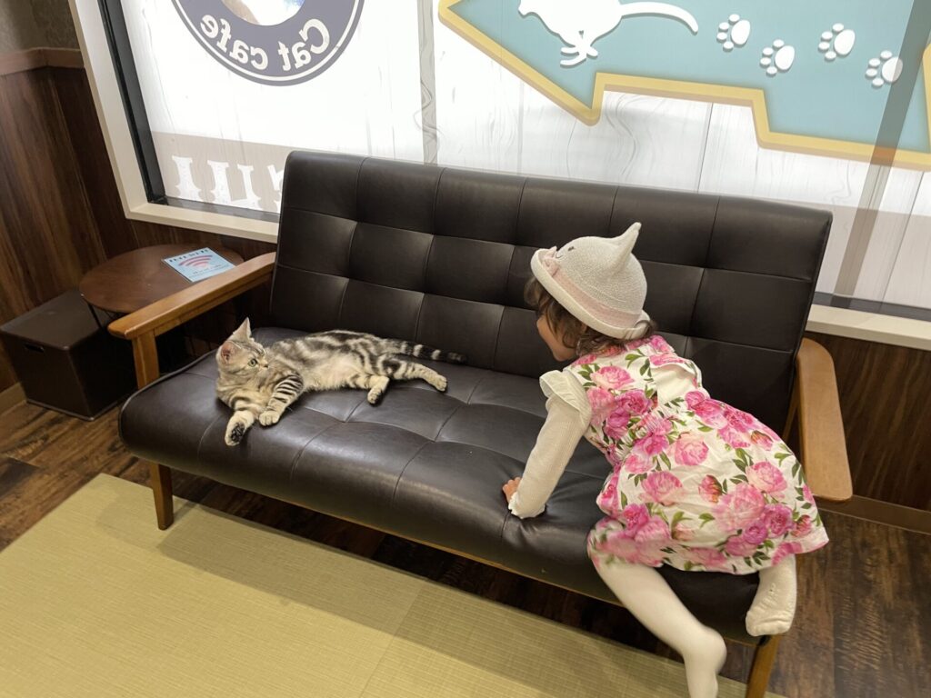 Cat Cafe Coorikuya
