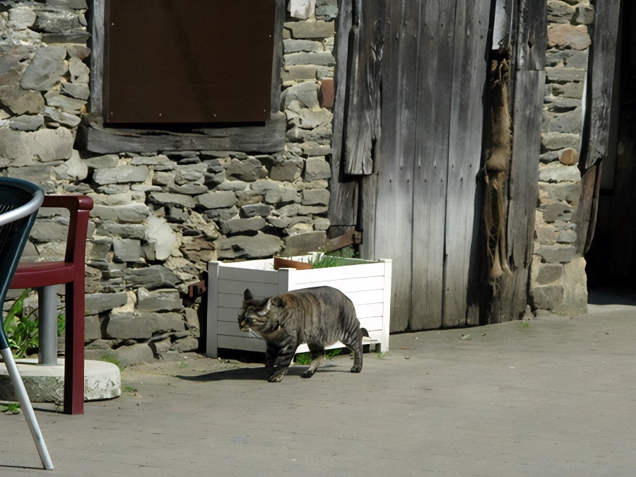 Bohan Ardennes