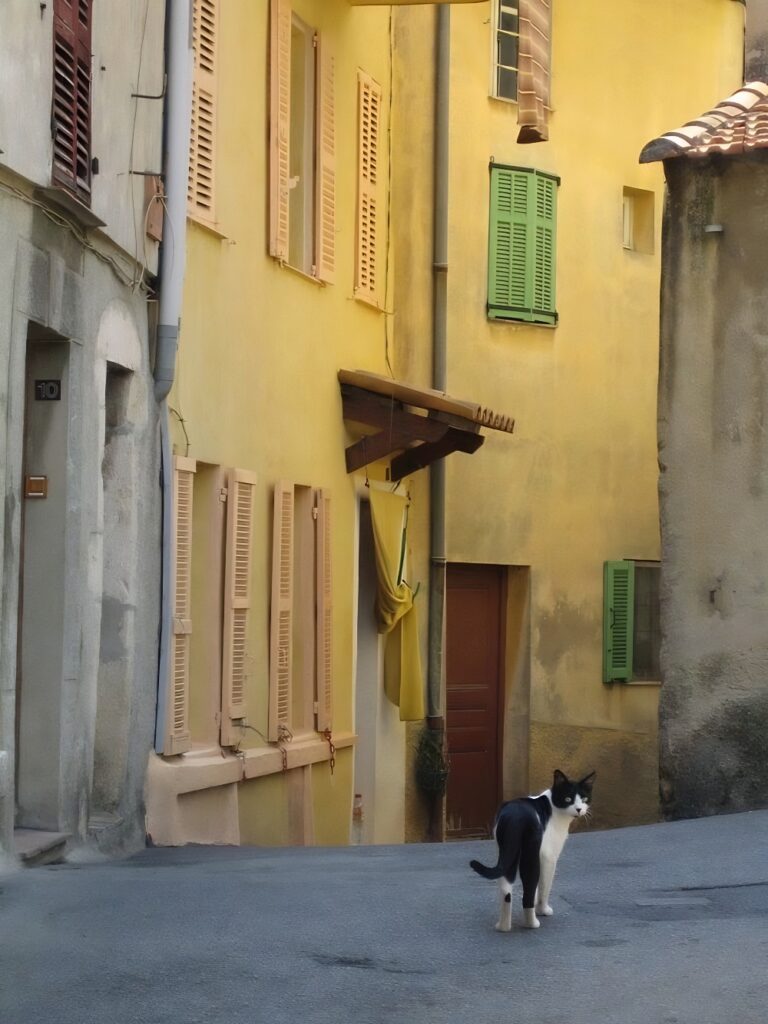 Gattières France