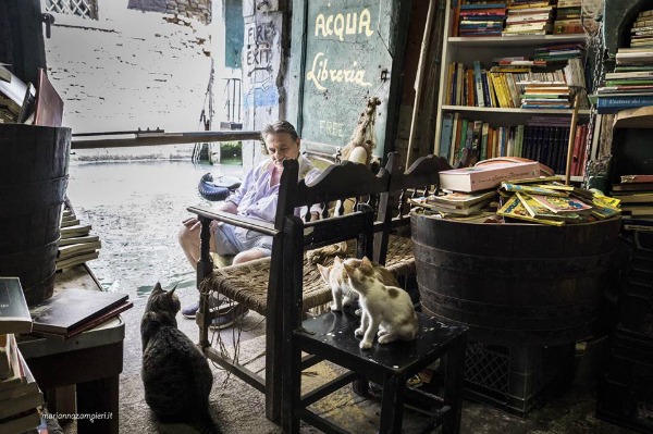 library of high water venice