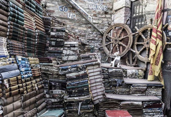 library of high water