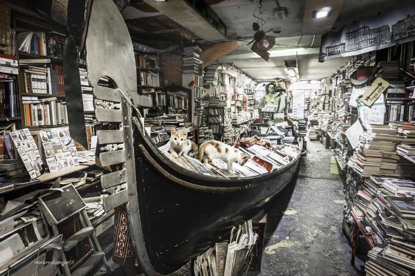 library of high water gondola